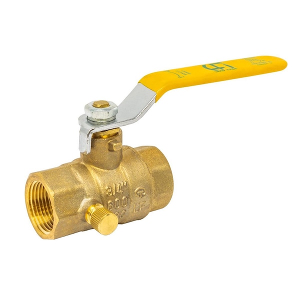 Thrifco Plumbing 3/4 Inch FIP Brass Ball Valve with Stop & Waste 6414023 - main